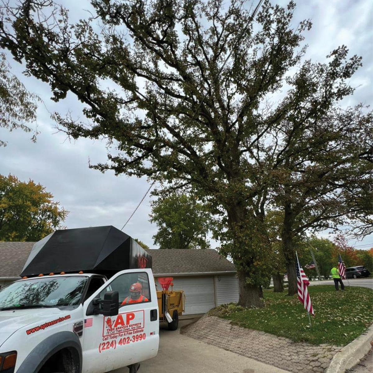 Residential Tree Experts